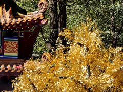-青岩寺风景区