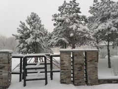 -长春公园(普阳街道)