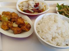 -清华大学-清芬园