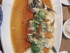 -丹江渔村(望京店)