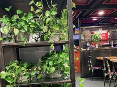 大堂-管氏翅吧(中关村店)