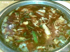 -金良酸菜鱼(宁海路总店)