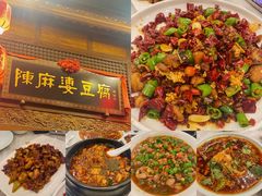 -陈麻婆豆腐总店