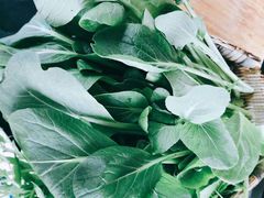 -二荆条·蜀鲜汇城市森林火锅