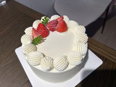 -猫里有甜