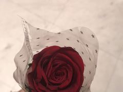 -初花·日本料理