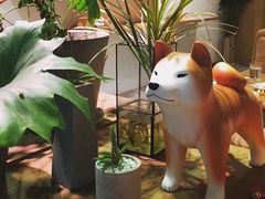 -柴务处·柴犬主题狗咖