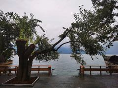-大理洱海