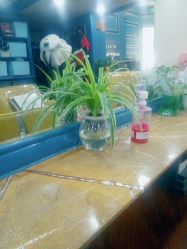 -Hair Glam 格拉姆造型旗舰店