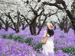 -江苏三台山国家森林公园