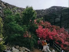 -木兰云雾山