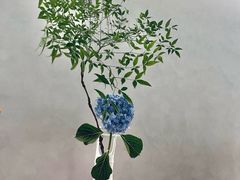 -震旦国际大楼