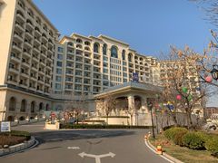-龙熙维景国际会议中心
