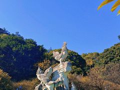 -金鸡山公园