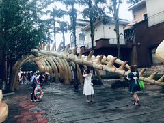 -重庆海昌加勒比海水世界