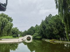 -南郊宾馆·风味自助餐厅·山东十六地市特色菜