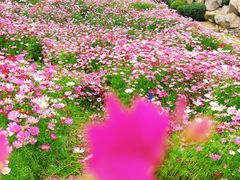 -三亚南山文化旅游区