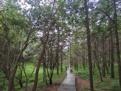 -苏木山森林公园