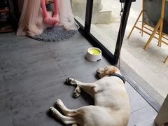 -蜜舍咖啡(洋人街店)