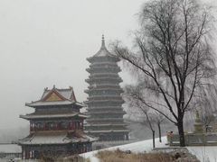 -兰山公园