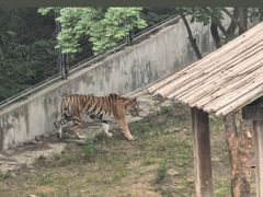 -石家庄市动物园