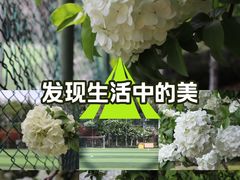 -杭州城北体育公园