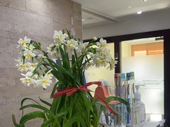 -爱贝口腔·牙周诊疗·种植修复中心