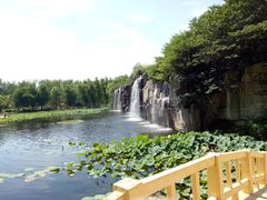 -微山湖红荷湿地景区