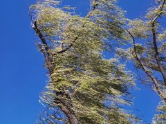 -野鸭湖国家湿地公园