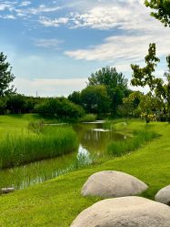 -圣露庄园·草坪婚礼·宴会厅·会议