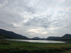 -风云岭森林公园