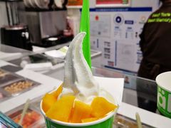 -Salud撒露欧洲冻酸奶(五道口购物中心店)