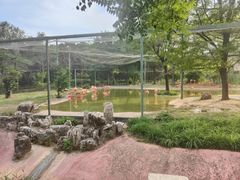 -石家庄市动物园