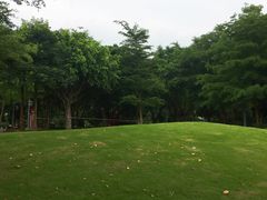 -王借岗森林公园