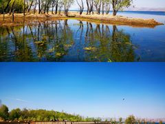 -洱海月湿地公园