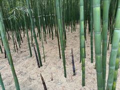 -同里国家湿地公园