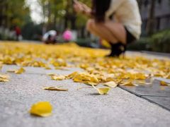 -百林公园-两江幸福广场