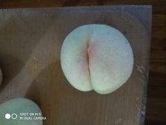 -南汇新场正宗水蜜桃采摘