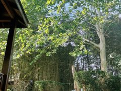 -春晖园度假酒店温泉