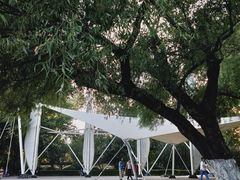 -朝阳公园