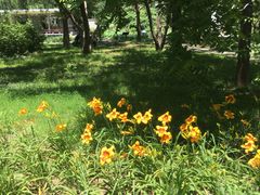 -国家植物园南园