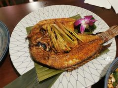 -紫滇源云南生态菜(丹凤街店)