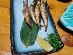 -锦鲤堂日本料理(莱茵之星店)