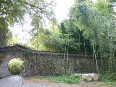 -镇江市南山风景名胜区竹林景区