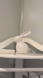-苑苑vbeauty科技美容SPA