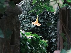 -斯多格书乡(北京大学畅春园店)