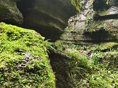 -梭布垭石林景区