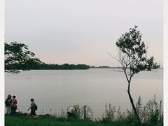 -漕湖湿地公园