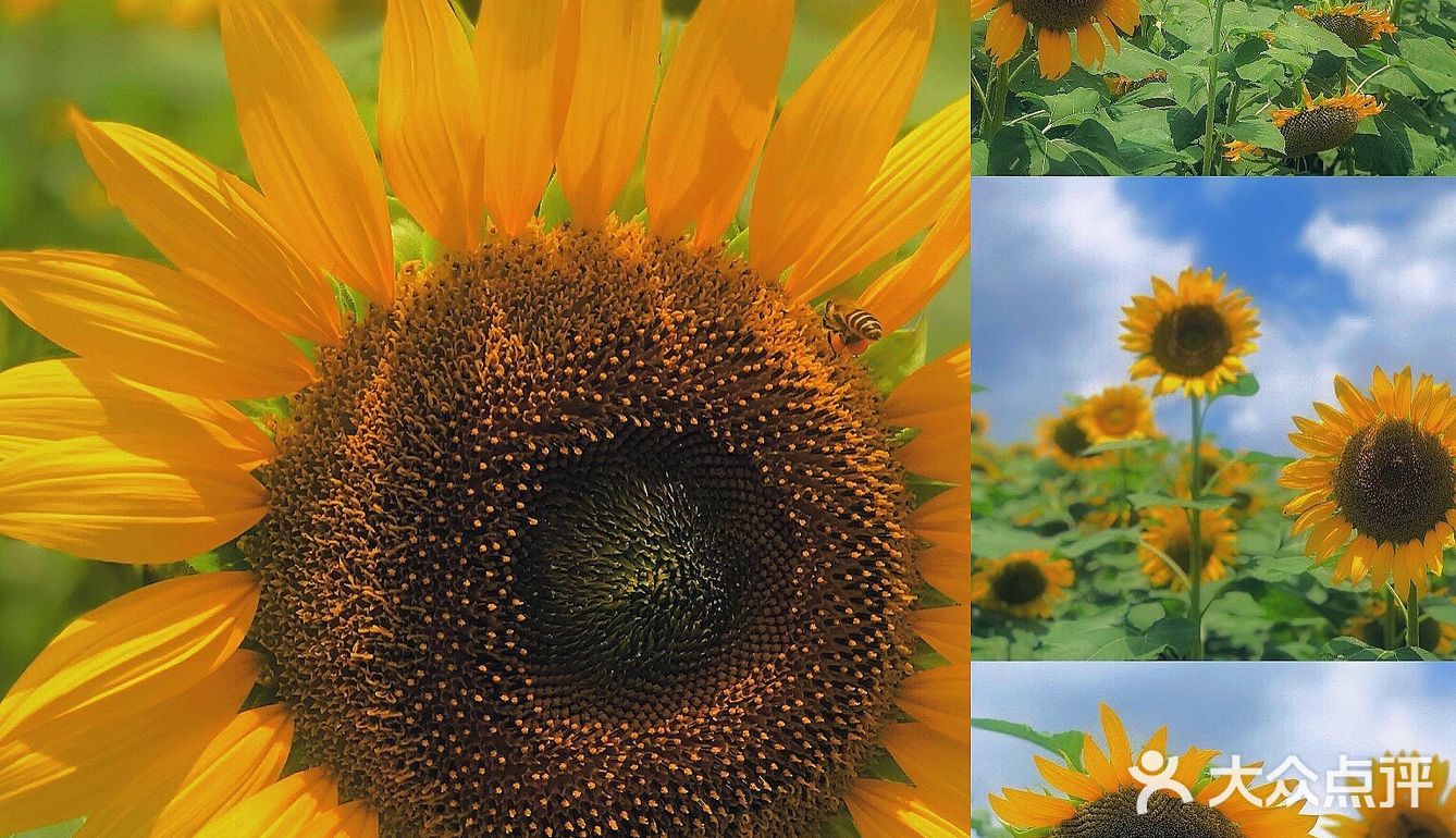 湖边还有小孩滑梯等娱乐设施