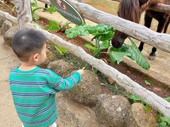 -海南热带野生动植物园